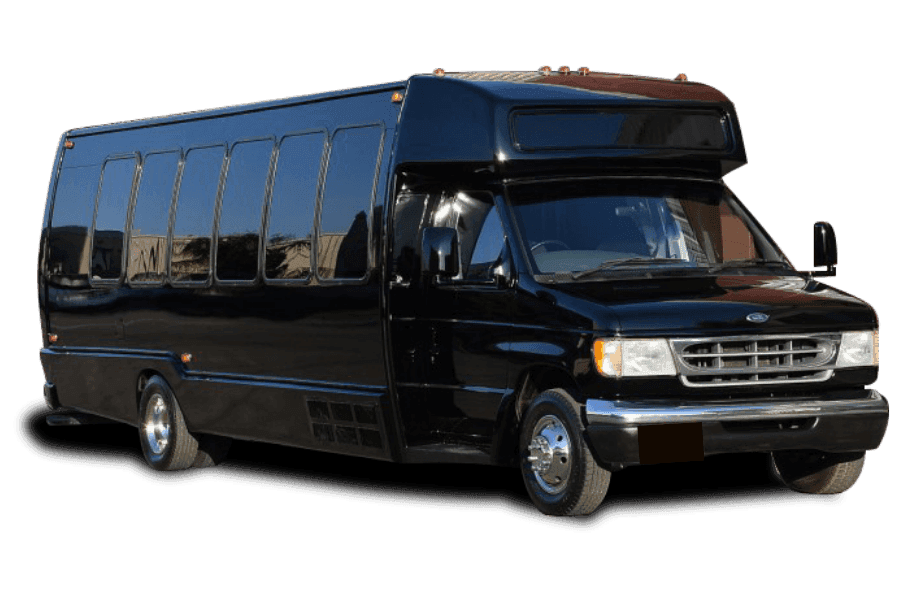 Autobús de lujo para 16-20 pasajeros: Ford E-450 o similar